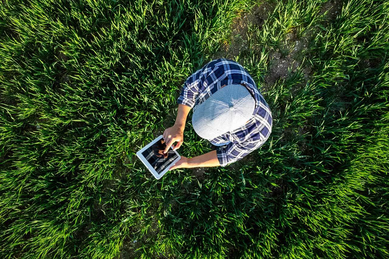 David Herraez Calzada/shutterstock.com