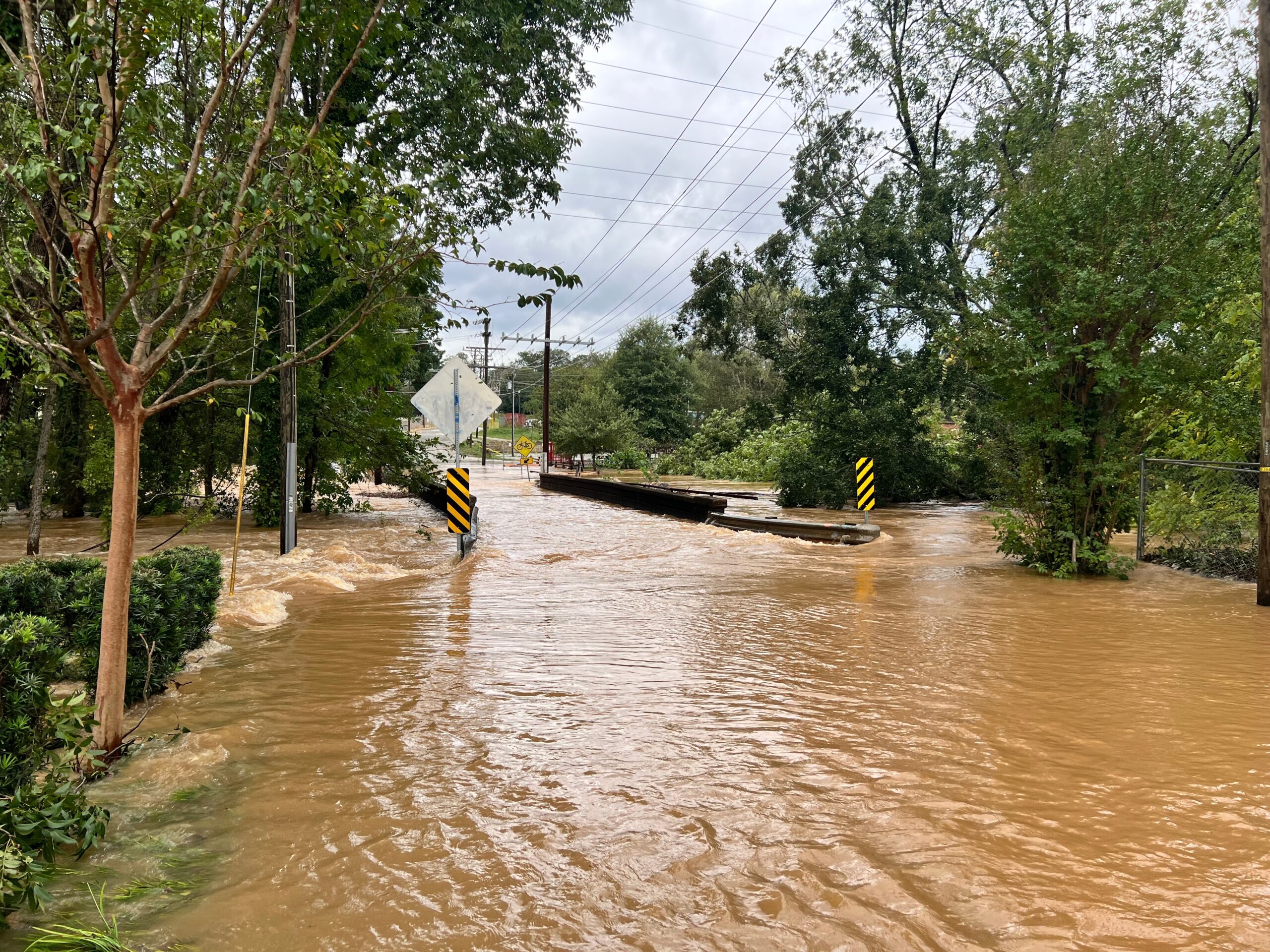 Lindsey Seitz/shutterstock.com